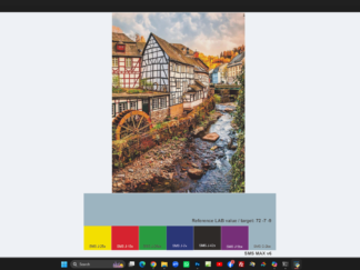 P20xImage MAX version: SMS MAX image delivered in sRGB format.