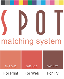 Spot Matching System